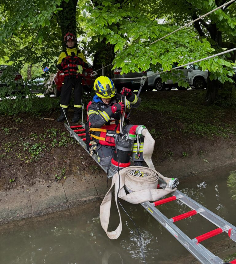 Instagram post from pgdvic. This post is in position 11.